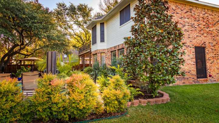 11 Of The Most Durable, Heat Tolerant Plants You Can Grow In Texas