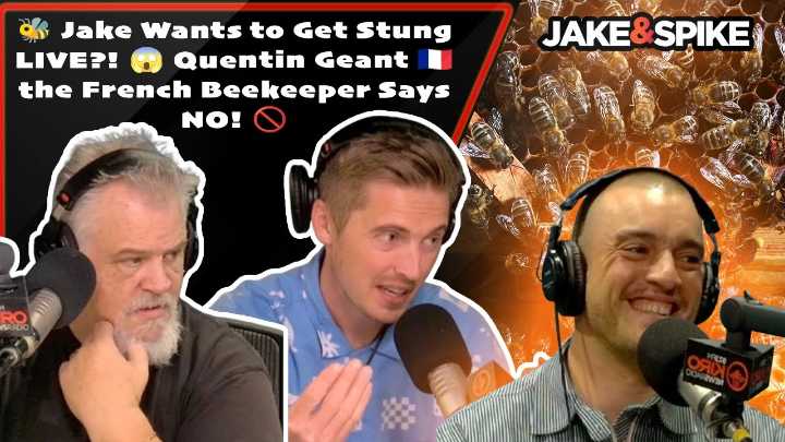 Video: Jake and Spike Want to Get Stung by a Bee... and They're Told No.