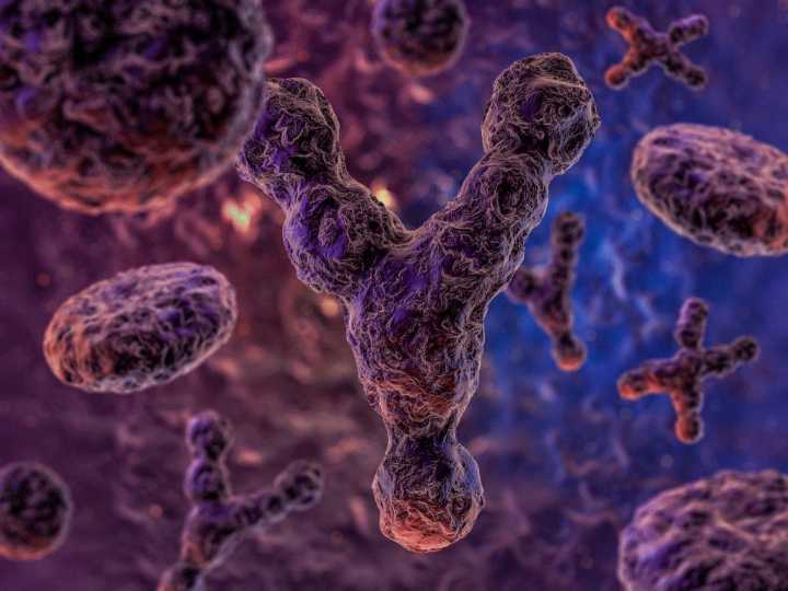 Cancer-Fighting Immune Cells, Survival Worsened by Y Chromosome Loss