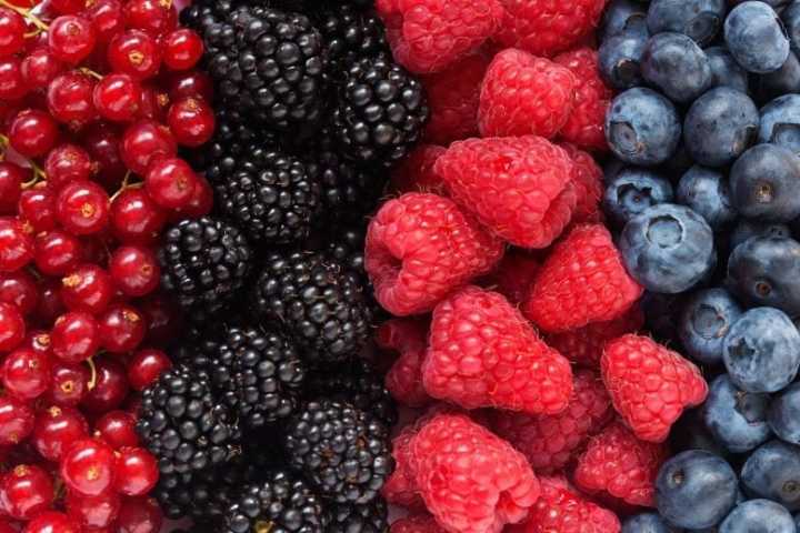 Tres porciones diarias de frutos rojos ayudan a envejecer de forma saludable