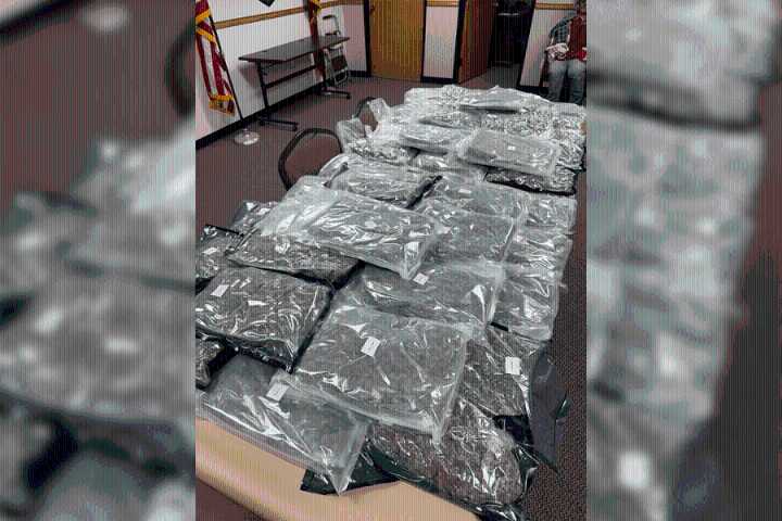 48 packages of hydroponic marijuana seized during East Texas traffic stop