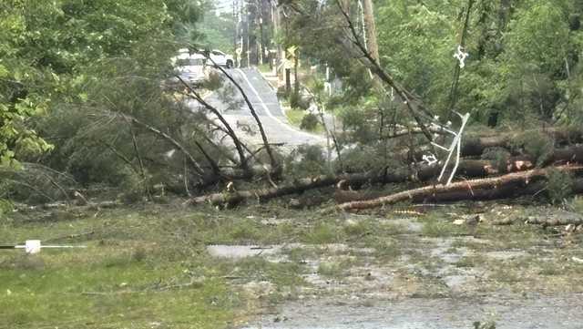 Wild storm downs trees, wires leaving main roads impassable