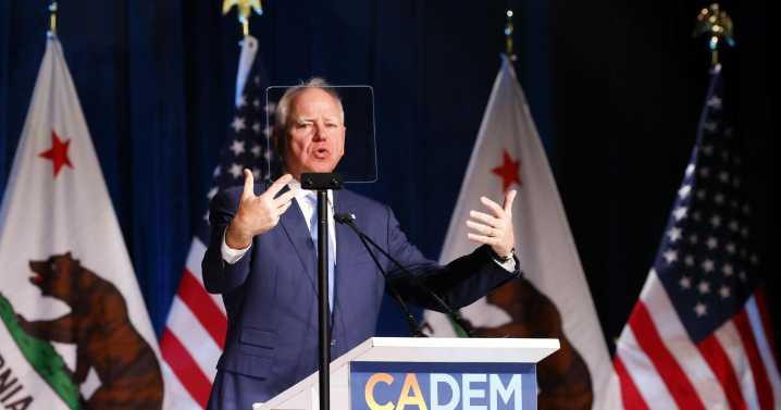 Commentary: Democrats are busy bashing themselves. Is it needed, or just needy?