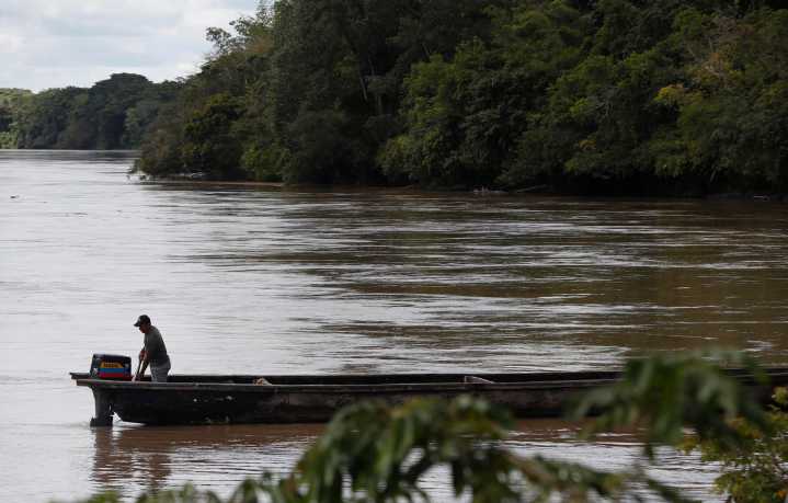 La deforestación en la Amazonía colombiana cae un 33 % en el primer trimestre de 2025