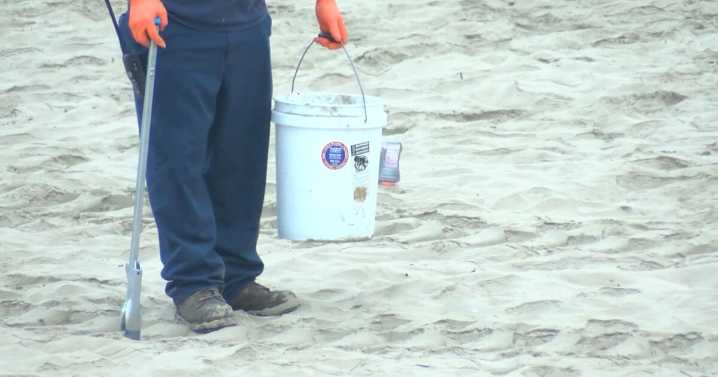 Sunday is World Oceans Day: Here's how the community is pitching in