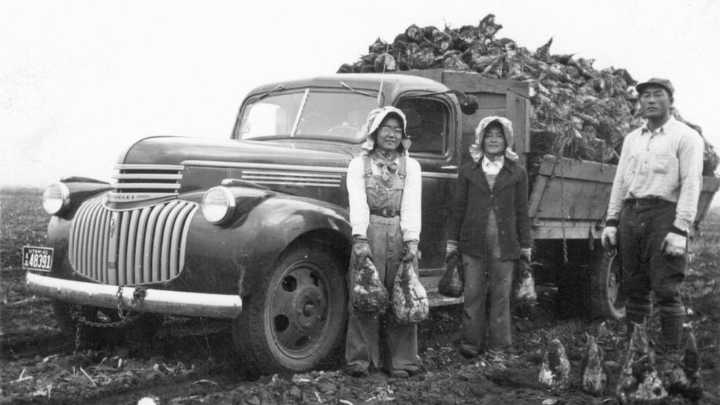 Utahn shares Japanese history through family's journey to Beehive State