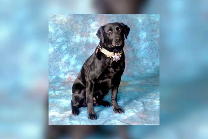 K-9 Duster Retires After Long Career With Wyoming Highway Patrol