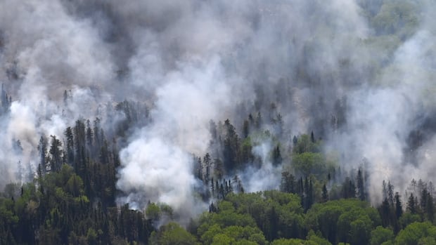 Wildfires prompt air quality statements across northwestern Ontario as evacuations continue