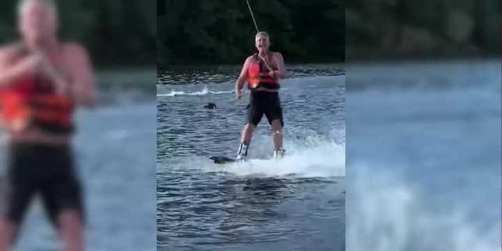 CAUGHT ON CAM: Bear joins wakeboarder, jet skier on Lake Jocassee