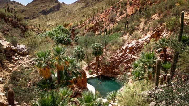 Oprah Daily picks Castle Hot Springs as best destination spa