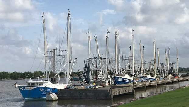 Free Fishing Day in Texas Slated for June 7
