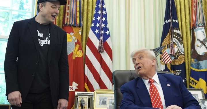 Trump y Musk se separan y Washington contiene la respiración