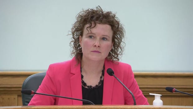Sask. auditor's latest report urges action on opioid crisis, transitional housing