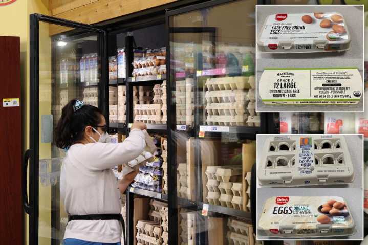 Salmonella tied to eggs sickens across 7 states