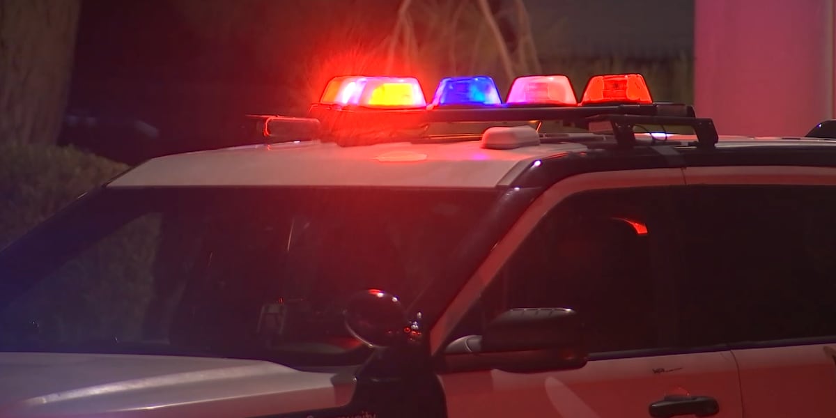 Foul odor lead Las Vegas police to discover decomposing body