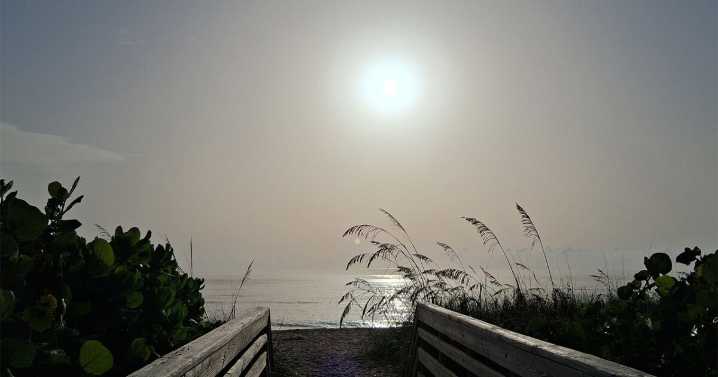 Saharan dust creates hazy skies over Florida: How to keep your lungs healthy