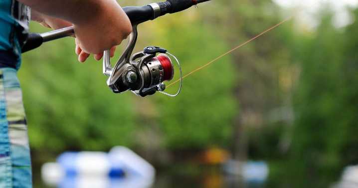 Tennessee's Free Fishing Day set for Saturday, June 7