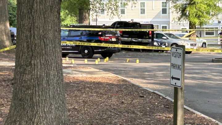 Man. dog killed in Hopewell shooting; suspect is in custody