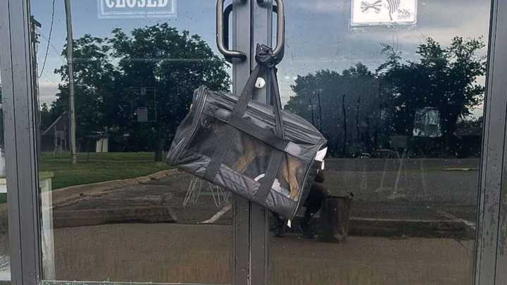Oklahoma Rescuer Found A Mysterious Bag On Shelter Door Handle Only To Discover What Was Inside