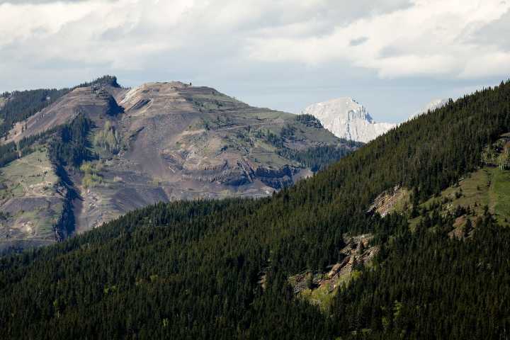 Coal mines on Alberta’s eastern slopes are poisoning fish populations, study says