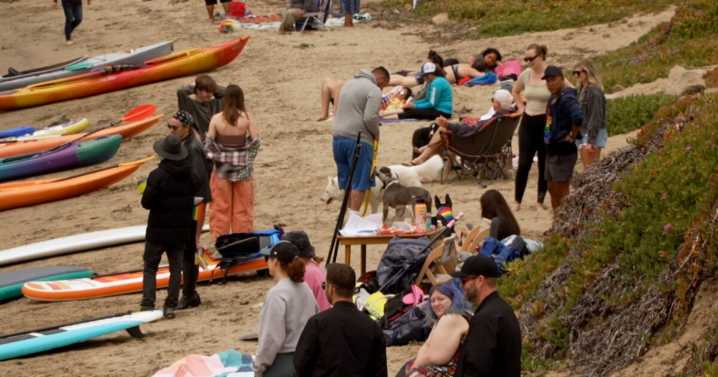 Locals and adoptable puppies make a splash at Paddling with Pride event