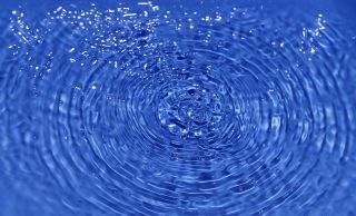 Even the Smallest Movement Ripples Through the Entire Body