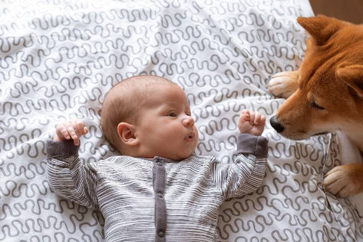 Early Dog Exposure May Modify Genetic Effect on Atopic Eczema Risk