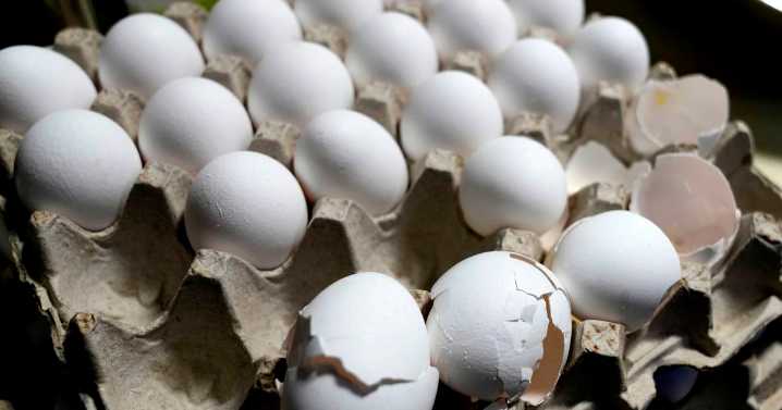 Salmonella outbreak tied to eggs sickens dozens across 7 states including Illinois
