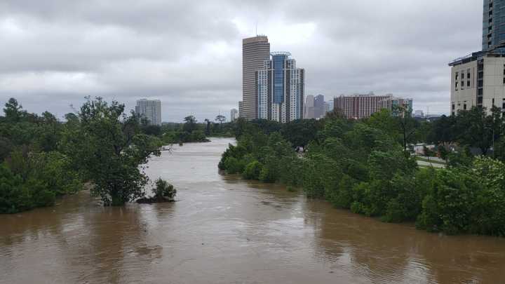 Houston residents distrust disaster preparedness of state officials, Rice researcher tells city council