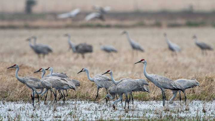 How farmers can help rescue water