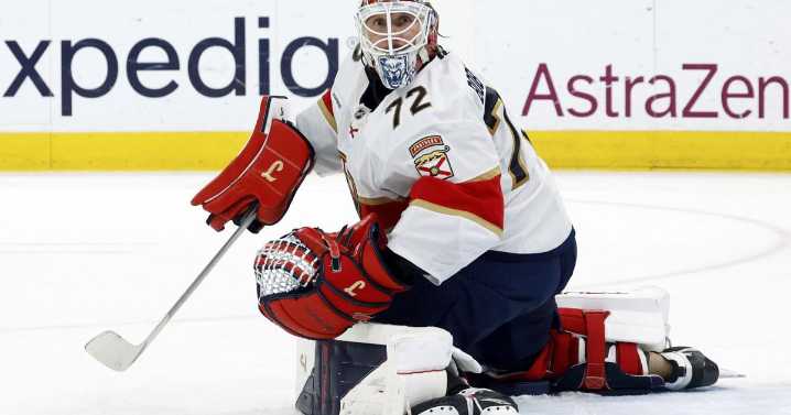 Stanley Cup final goalie matchup: Bobrovsky and Skinner, matching wits once again