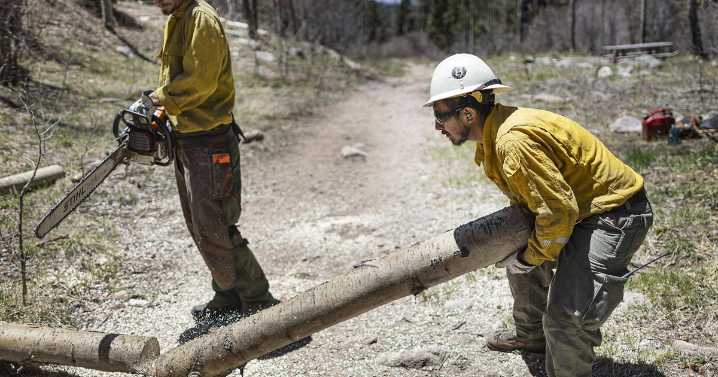 Santa Fe National Forest lifts fire restrictions