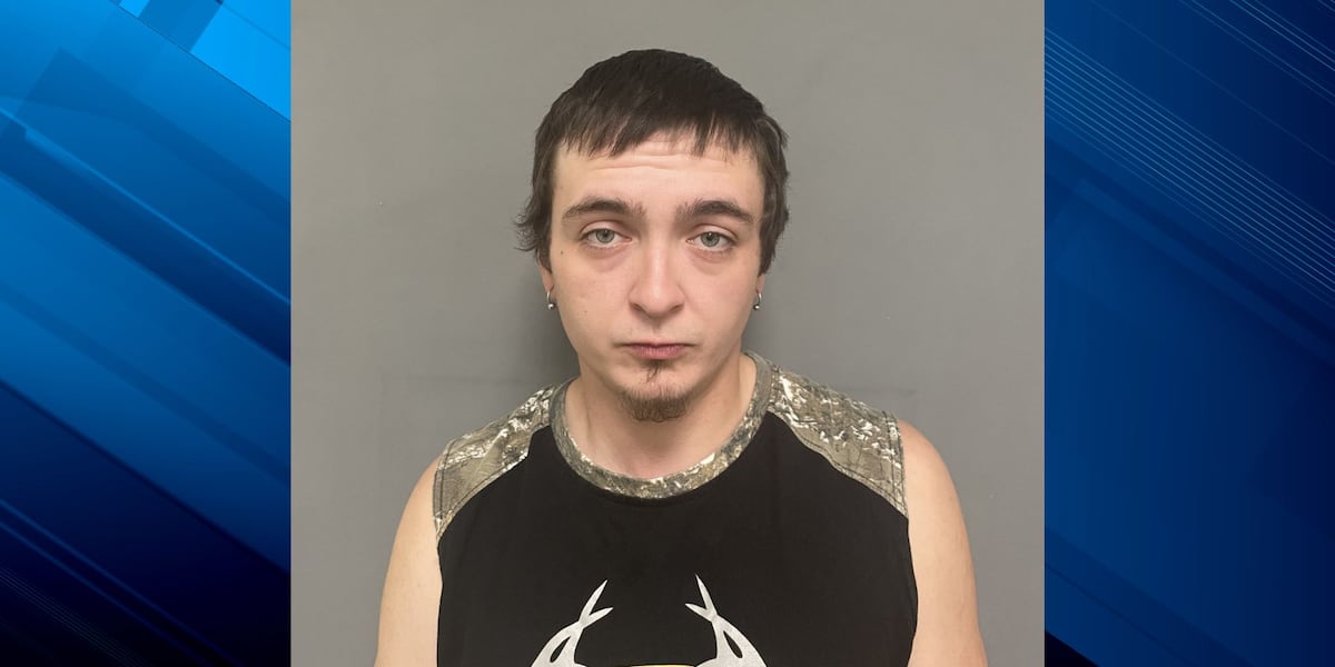 Swanton man in custody amid child sex abuse charges