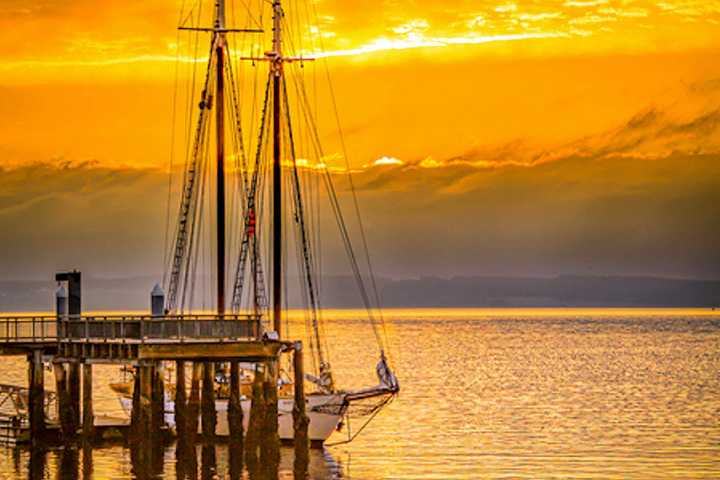 Art auction coming with Port Townsend pop