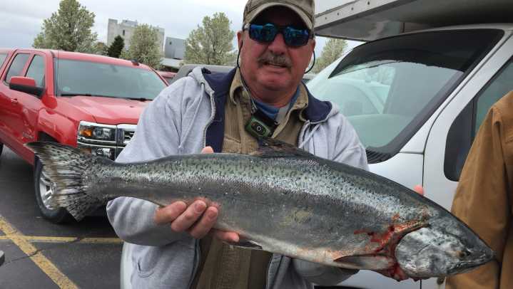 Michigan health department releases guide for fish: What's safe to eat?