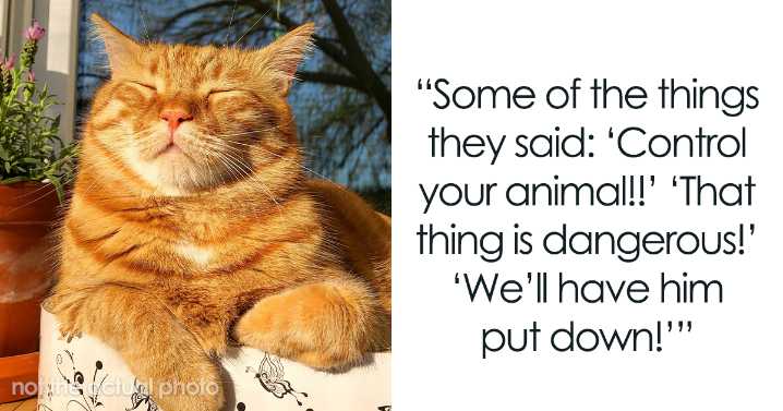 Parents Say Nothing As “Borderline Aggressive” Kid Hurts Cat, Cry Foul When Animal Retaliates