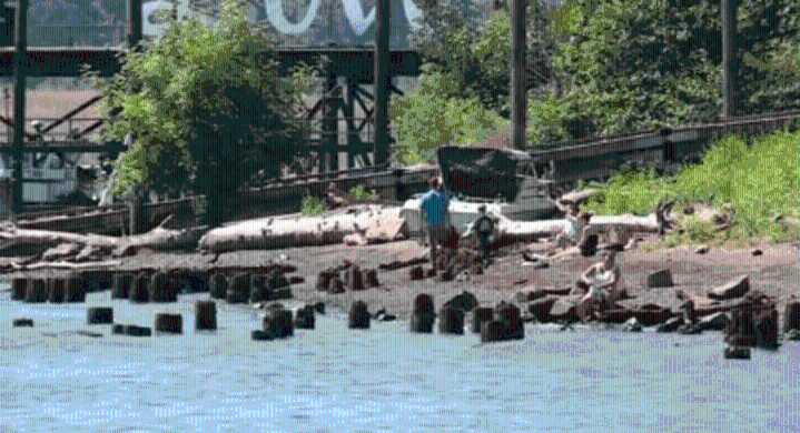 Body pulled onto swimming dock at Cathedral Park
