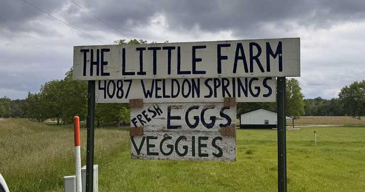 Illinois ‘chicken bill’ aims to boost small poultry farms, expand access to their products