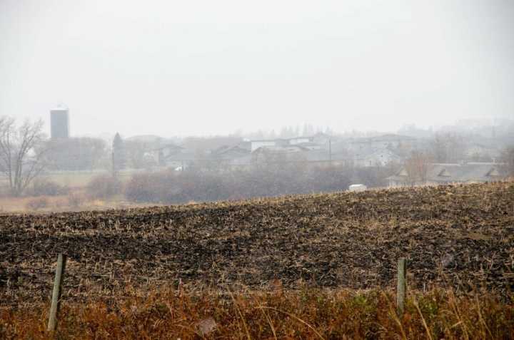 Canada losing farmland to development as rental costs squeeze farmers