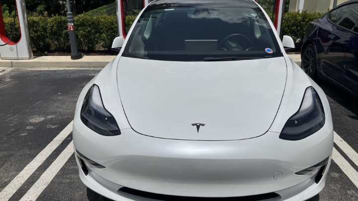 Tesla owners not too surprised by Pres. Trump