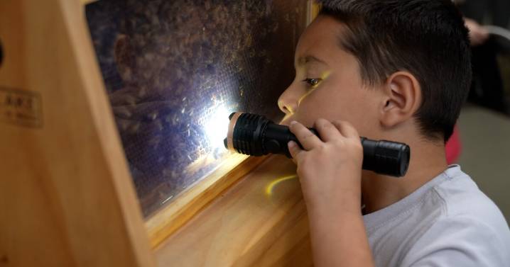 Kids learn about what a life in agriculture could look like