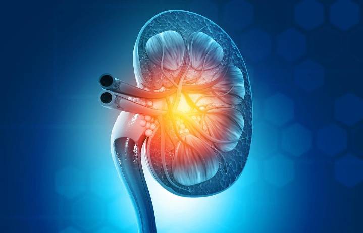Standard-Criteria Kidney Transplant Offers Clear Survival Benefit Over Continued Dialysis
