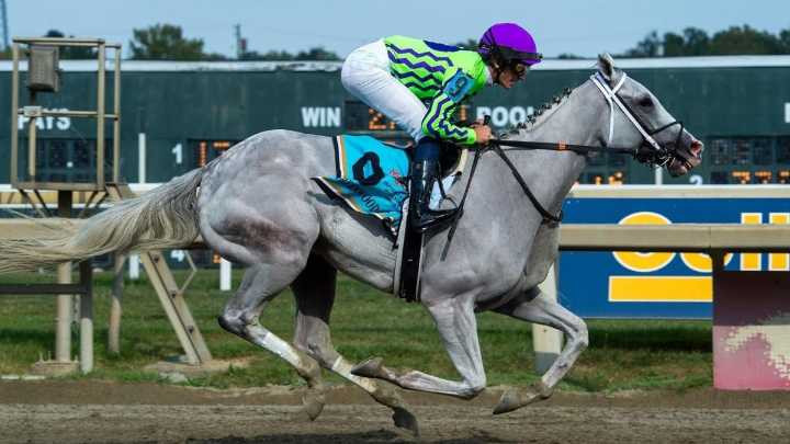 Belmont Stakes 2025 predictions, odds: Win, place, show, trifecta, exacta, superfecta expert picks