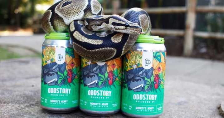 Chattanooga beer company collabs with zoo for sloth
