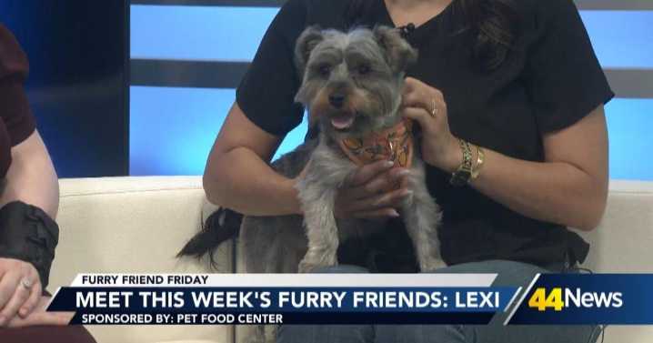 Furry Friend Friday: Meet Lexi