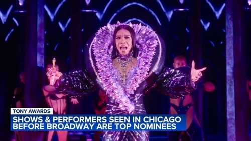 Several Tony awards 2025 nominees spent time on Chicago stages first, like 'Death Becomes Her,' 'Purpose'