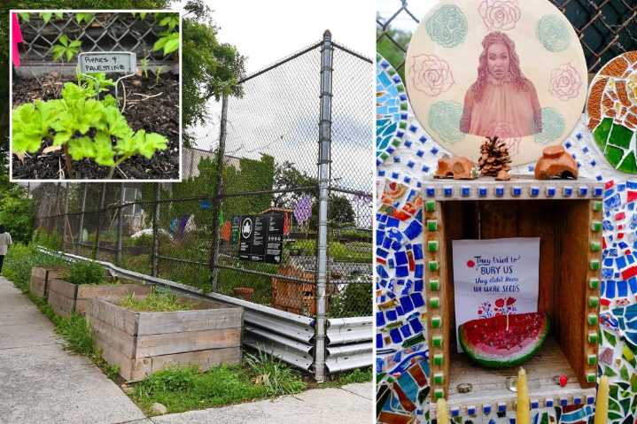 Order blocks Queens garden group's move-out date as legal battle continues