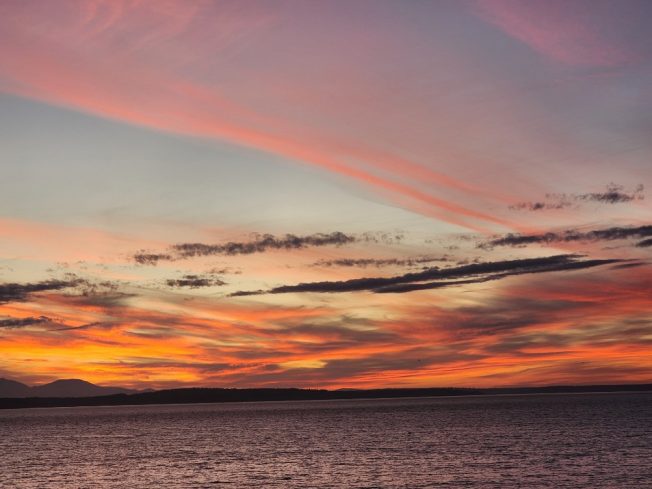 West Seattle Blog… | WEST SEATTLE SATURDAY: From Loop the ‘Lupe to low-bridge closure, 43 things to know