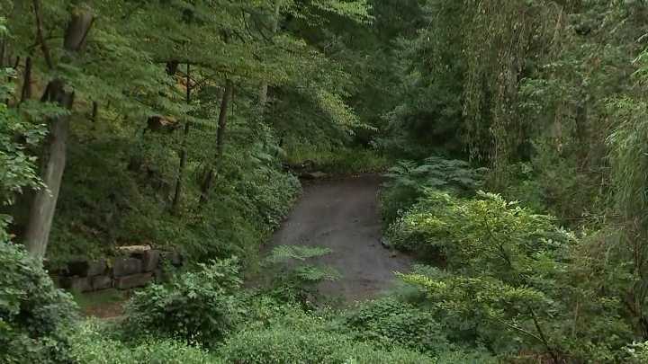 Coyote sightings at Philadelphia park sparks wildlife reminder