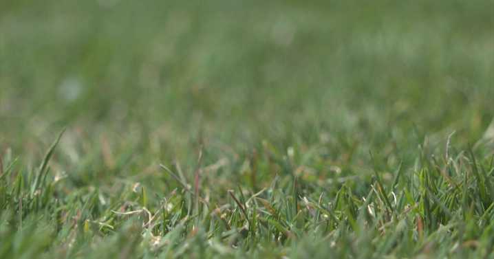 Aurora converts grass in city parks to drought